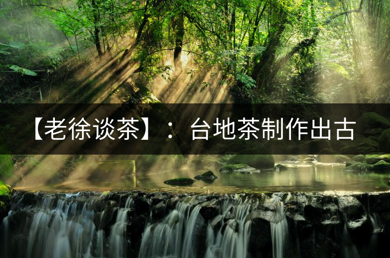 【老徐談茶】：臺(tái)地茶制作出古樹(shù)茶口感？只需一招，輕松騙過(guò)你 ?