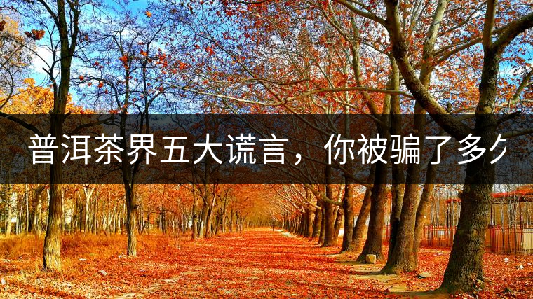 普洱茶界五大謊言，你被騙了多久？