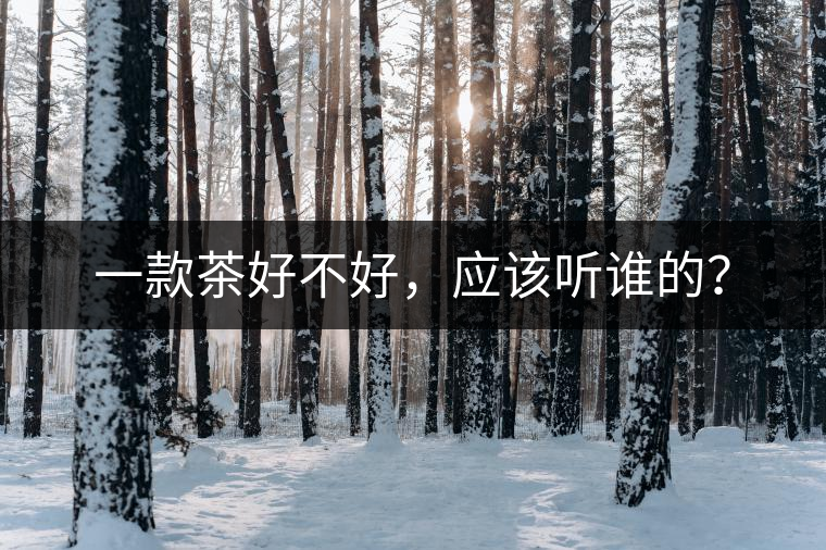 一款茶好不好，應(yīng)該聽誰的？