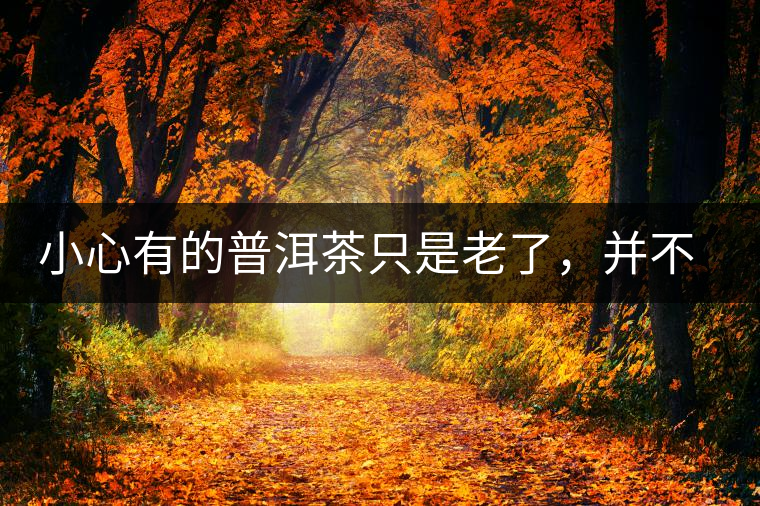 小心有的普洱茶只是老了，并不是好了
