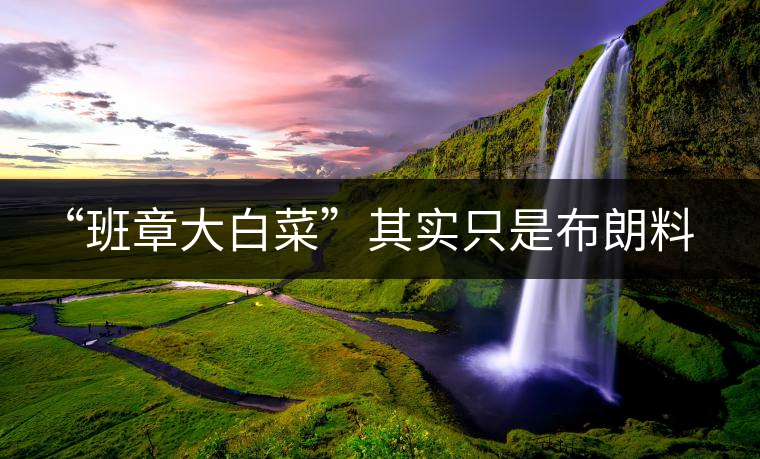 “班章大白菜”其實(shí)只是布朗料？