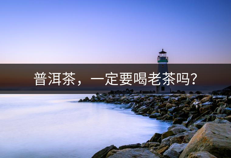 普洱茶，一定要喝老茶嗎？