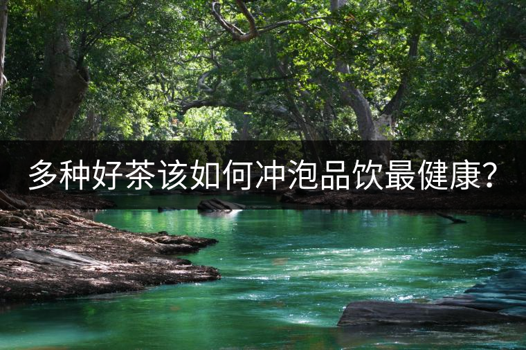 多種好茶該如何沖泡品飲最健康？