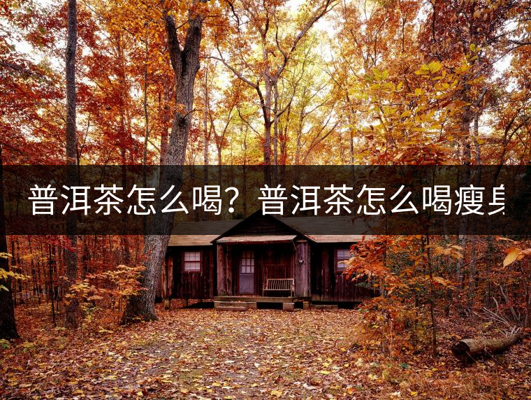 普洱茶怎么喝？普洱茶怎么喝瘦身？