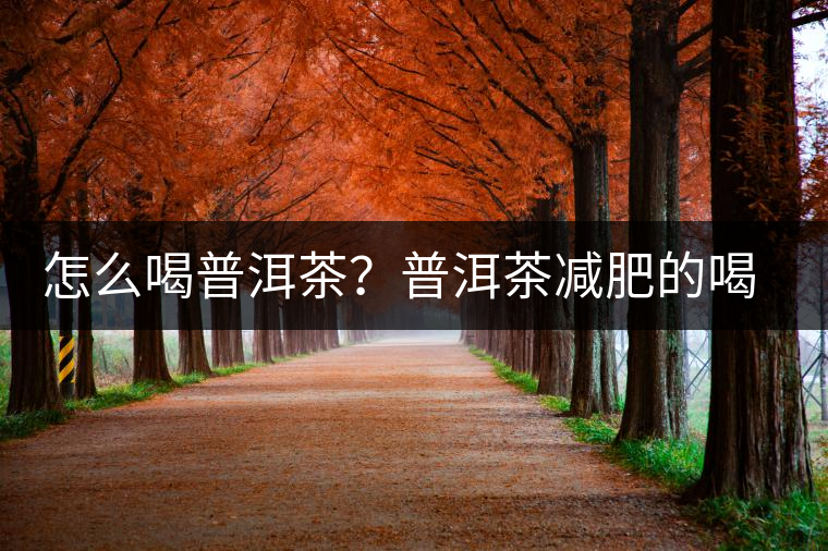 怎么喝普洱茶？普洱茶減肥的喝法