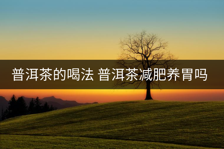 普洱茶的喝法 普洱茶減肥養(yǎng)胃嗎？