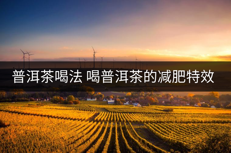 普洱茶喝法 喝普洱茶的減肥特效是什么呢？