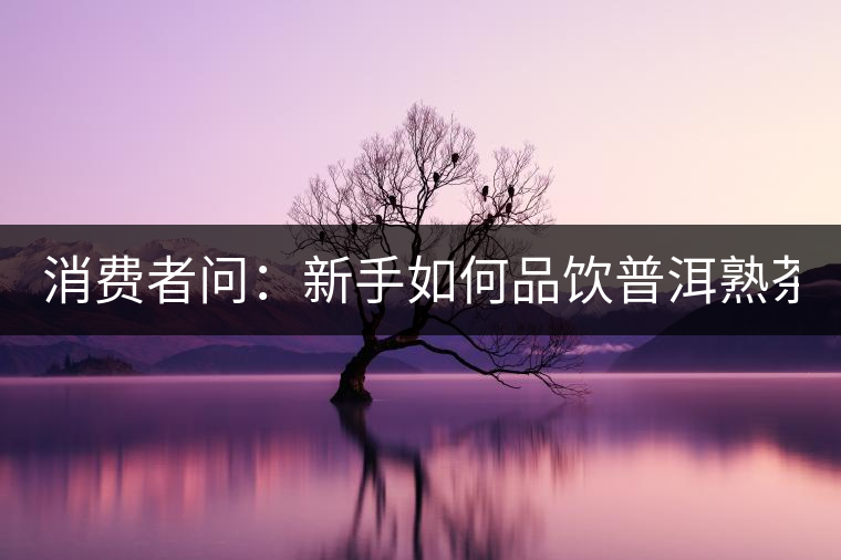 消費者問：新手如何品飲普洱熟茶？