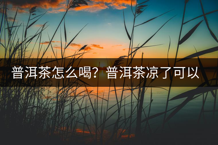 普洱茶怎么喝？普洱茶涼了可以喝嗎？