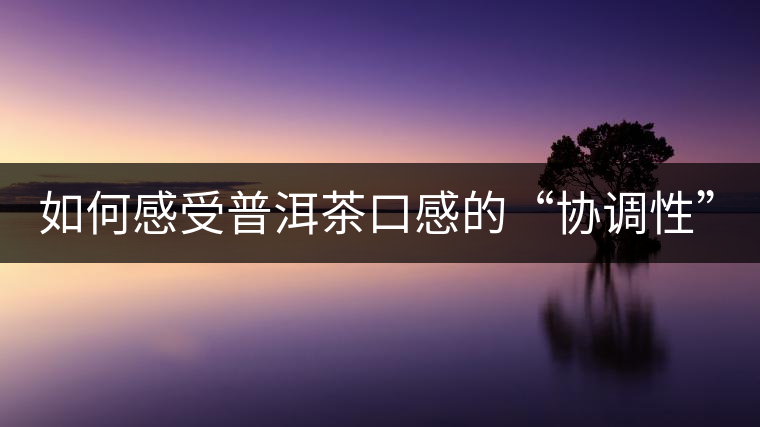 如何感受普洱茶口感的“協(xié)調(diào)性”？