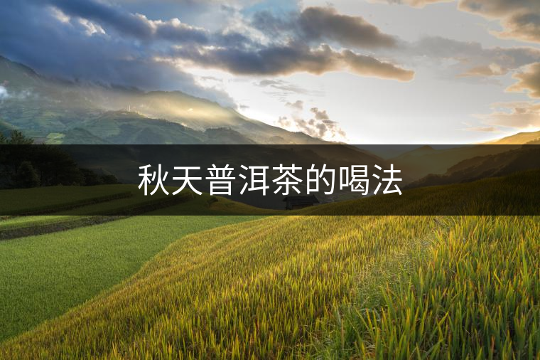 秋天普洱茶的喝法