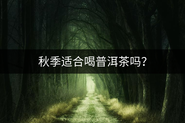 秋季適合喝普洱茶嗎？