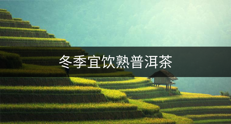 冬季宜飲熟普洱茶 冬季宜飲熟普洱茶