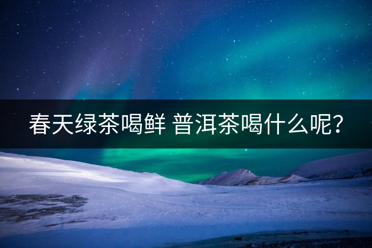 春天綠茶喝鮮 普洱茶喝什么呢？