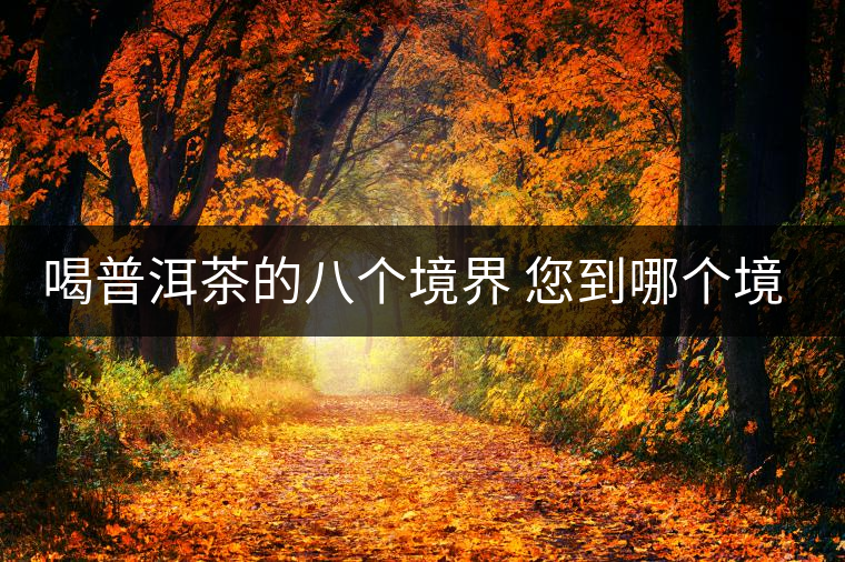 喝普洱茶的八個(gè)境界 您到哪個(gè)境界了？