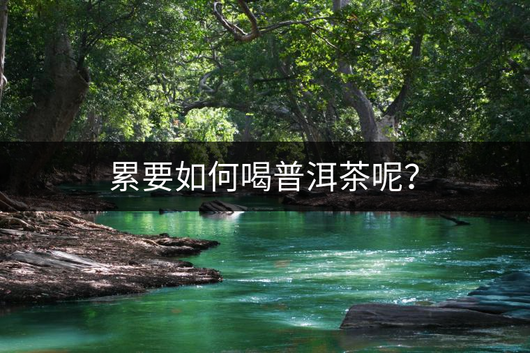 累要如何喝普洱茶呢？