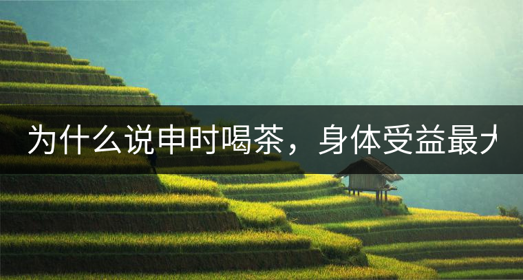 為什么說申時(shí)喝茶，身體受益最大？