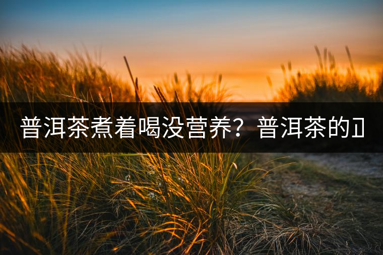 普洱茶煮著喝沒營養(yǎng)？普洱茶的正確煮法！