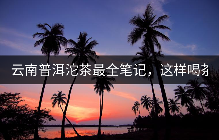 云南普洱沱茶最全筆記，這樣喝茶才更健康！