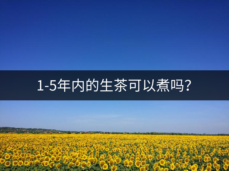 1-5年內(nèi)的生茶可以煮嗎？