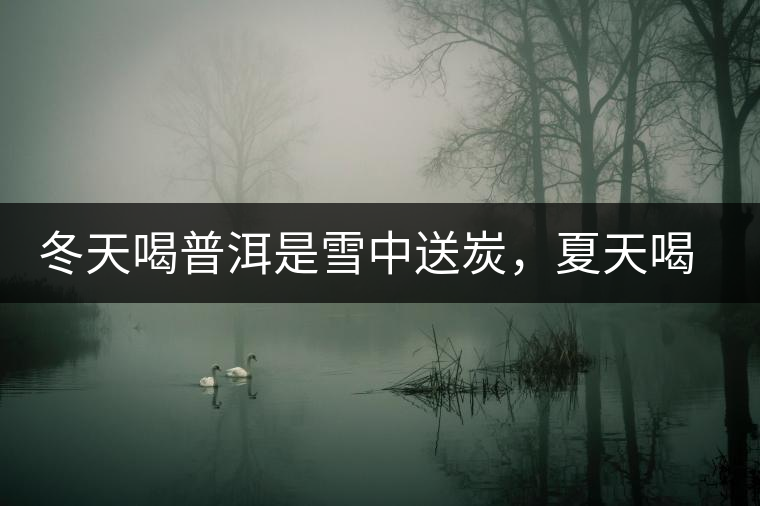 冬天喝普洱是雪中送炭，夏天喝就是火上澆油了？