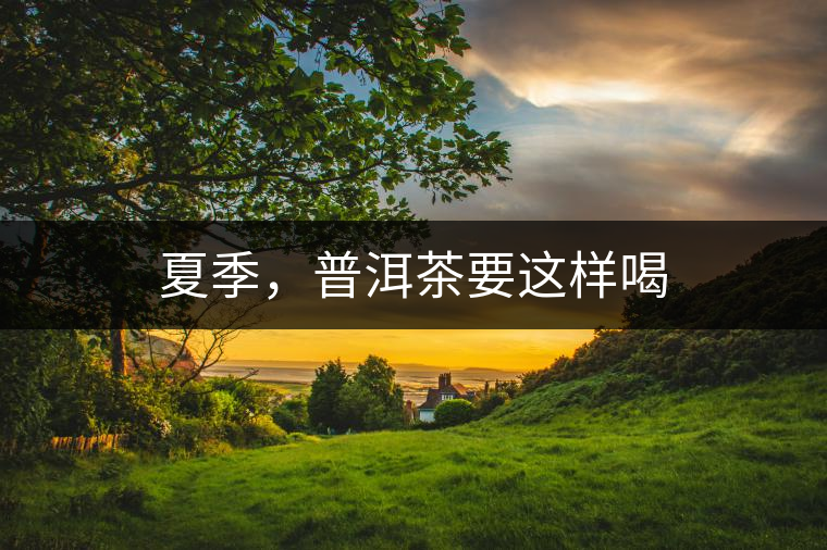 夏季，普洱茶要這樣喝