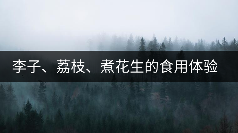 李子、荔枝、煮花生的食用體驗(yàn)來(lái)比對(duì)普洱茶的湯體口感