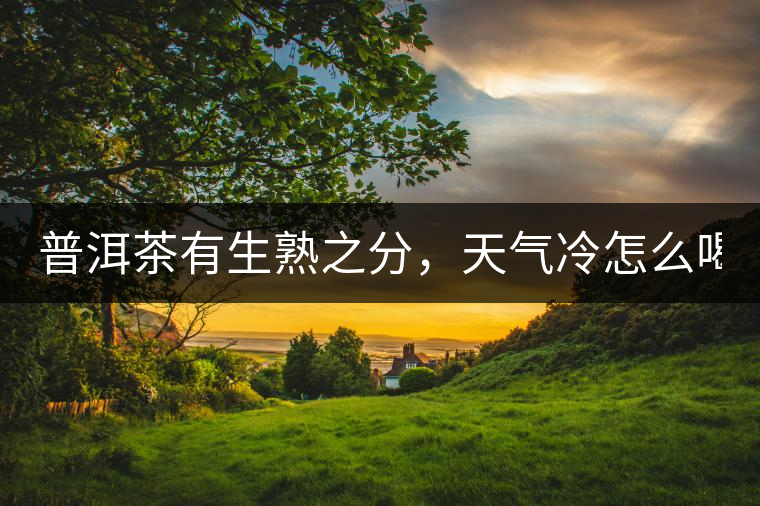 普洱茶有生熟之分，天氣冷怎么喝？