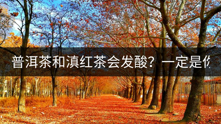 普洱茶和滇紅茶會(huì)發(fā)酸？一定是你這么做了！