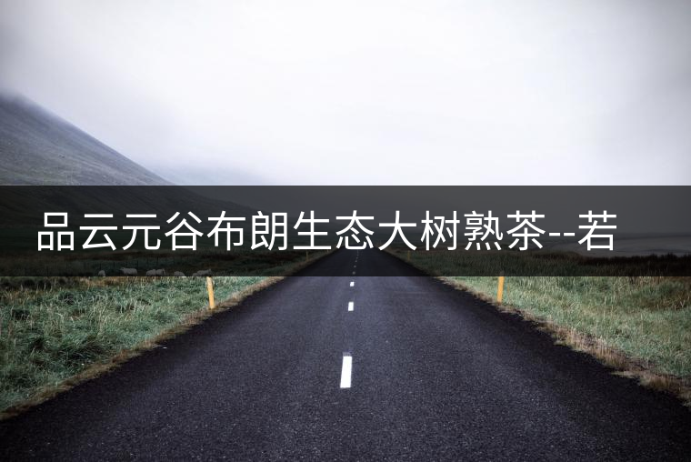 品云元谷布朗生態(tài)大樹熟茶--若谷