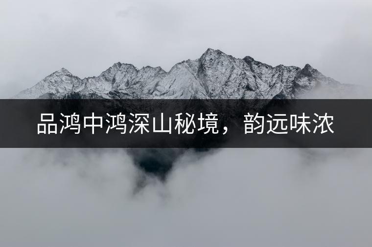 品鴻中鴻深山秘境，韻遠(yuǎn)味濃