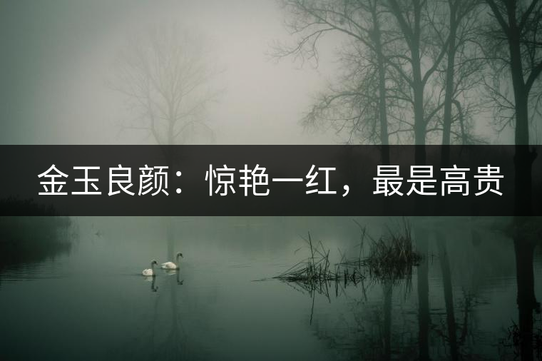 金玉良顏：驚艷一紅，最是高貴