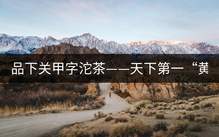 品下關甲字沱茶——天下第一“黃金甲”