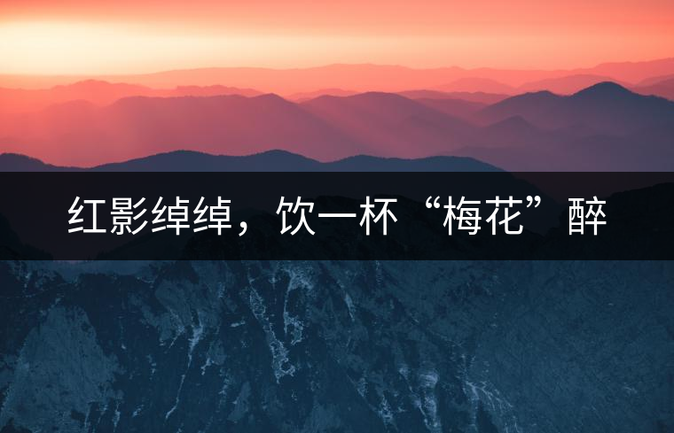 紅影綽綽，飲一杯“梅花”醉