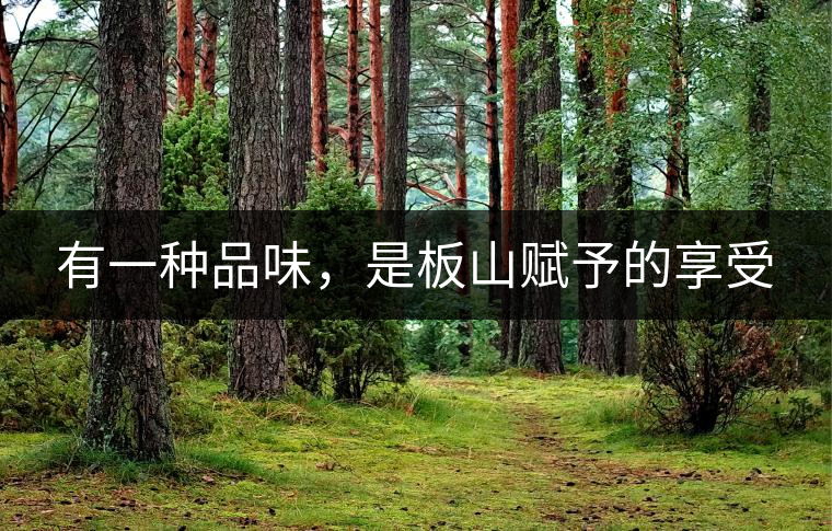 有一種品味，是板山賦予的享受