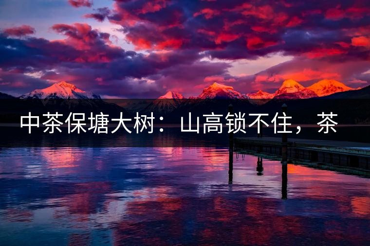 中茶保塘大樹：山高鎖不住，茶好名自傳