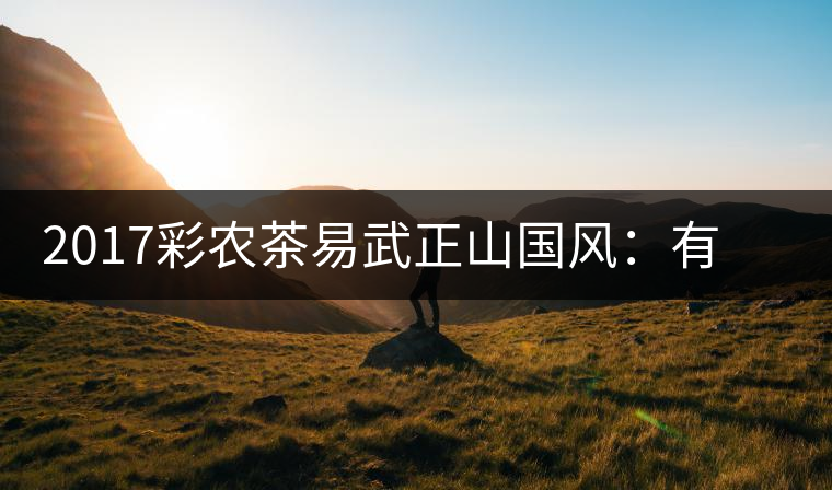 2017彩農(nóng)茶易武正山國(guó)風(fēng)：有茶韻，亦有國(guó)風(fēng)