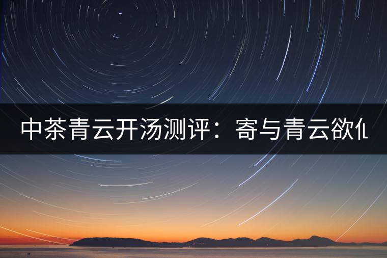 中茶青云開(kāi)湯測(cè)評(píng)：寄與青云欲仙客 一甌相映兩無(wú)塵