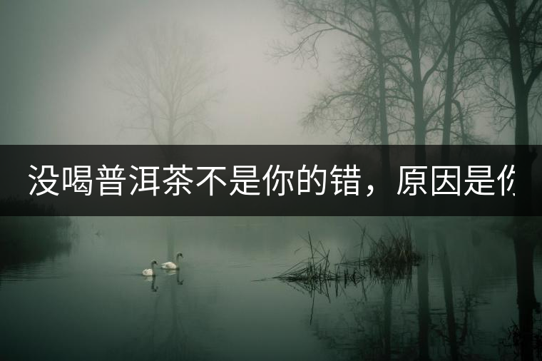 沒喝普洱茶不是你的錯(cuò)，原因是你還沒遇到Y(jié)671與Y562