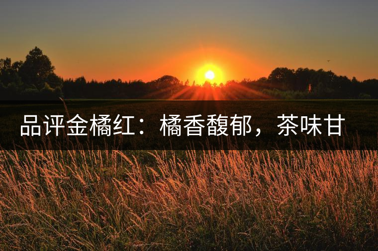 品評金橘紅：橘香馥郁，茶味甘醇，匠心拼配，臻于至善