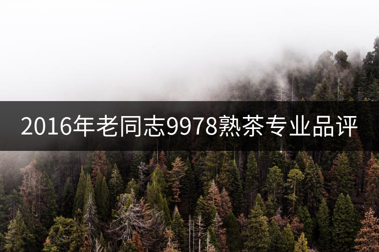 2016年老同志9978熟茶專業(yè)品評(píng) 2016年老同志9978熟茶專業(yè)品評(píng)