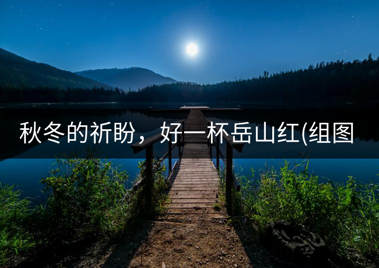 秋冬的祈盼，好一杯岳山紅(組圖)