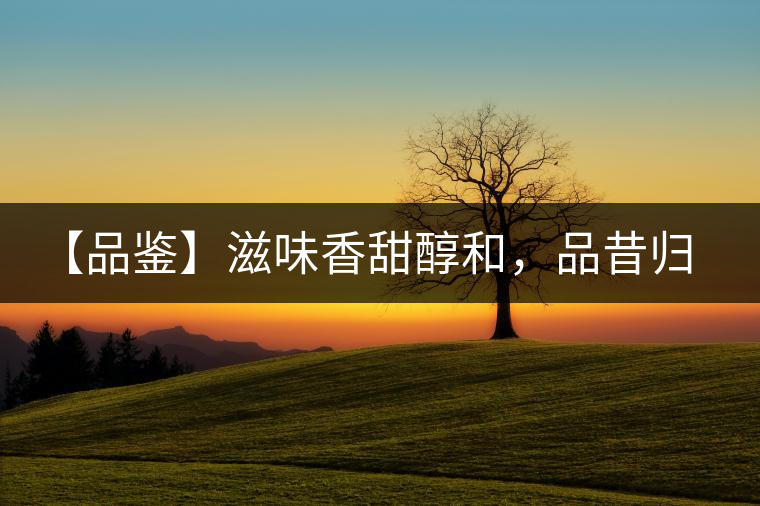 【品鑒】滋味香甜醇和，品昔歸古樹黃片