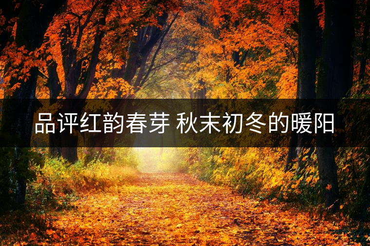 品評(píng)紅韻春芽 秋末初冬的暖陽 品評(píng)紅韻春芽 秋末初冬的暖陽