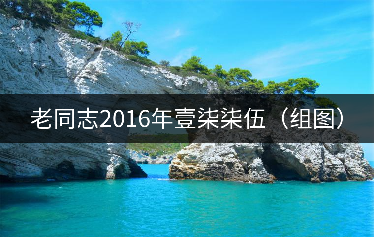 老同志2016年壹柒柒伍(組圖) 老同志2016年壹柒柒伍(組圖)