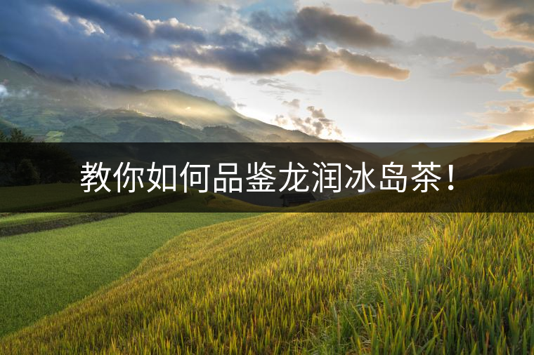 教你如何品鑒龍潤冰島茶！