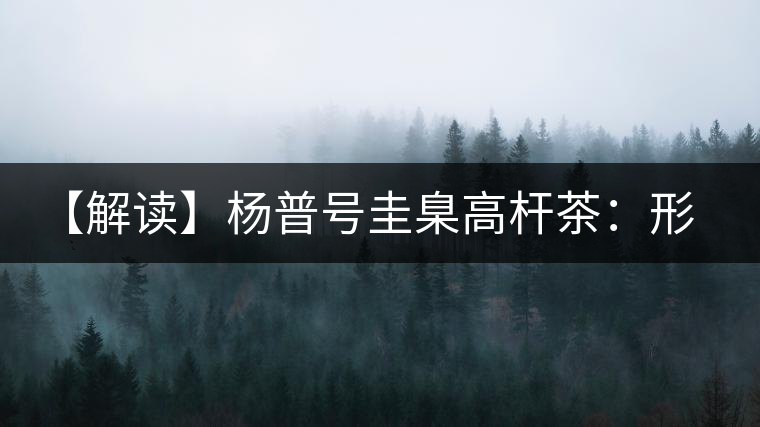【解讀】楊普號(hào)圭臬高桿茶：形高、氣足、韻遠(yuǎn)的一款茶