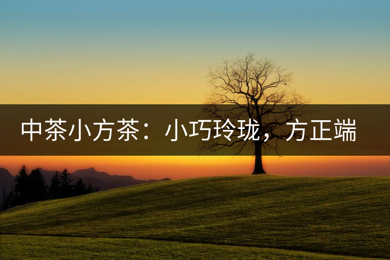 中茶小方茶：小巧玲瓏，方正端莊
