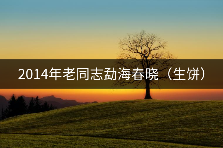 2014年老同志勐海春曉(生餅) 2014年老同志勐海春曉(生餅)