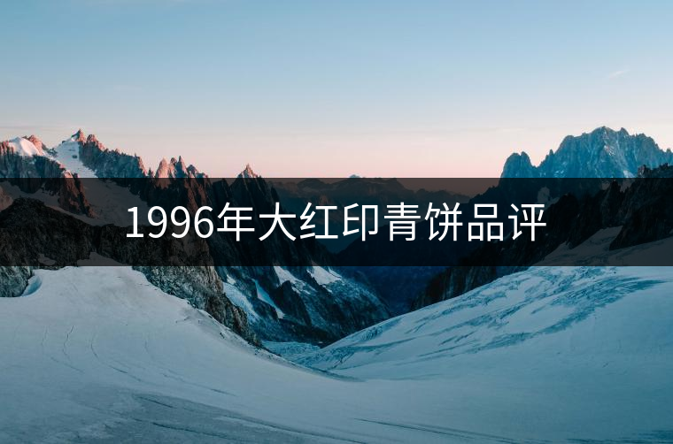1996年大紅印青餅品評 1996年大紅印青餅品評